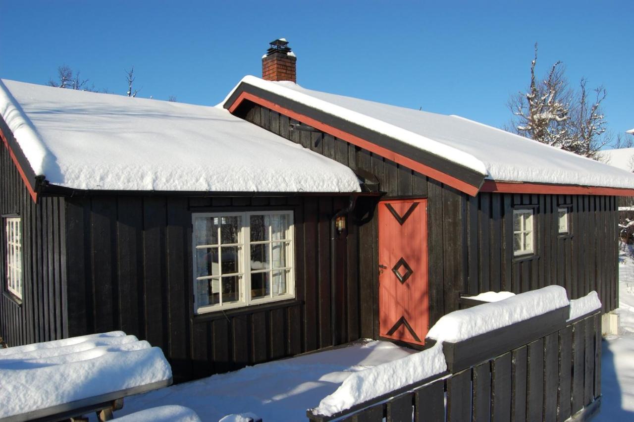 Torsetlia Cottages And Apartments Uvdal Eksteriør billede
