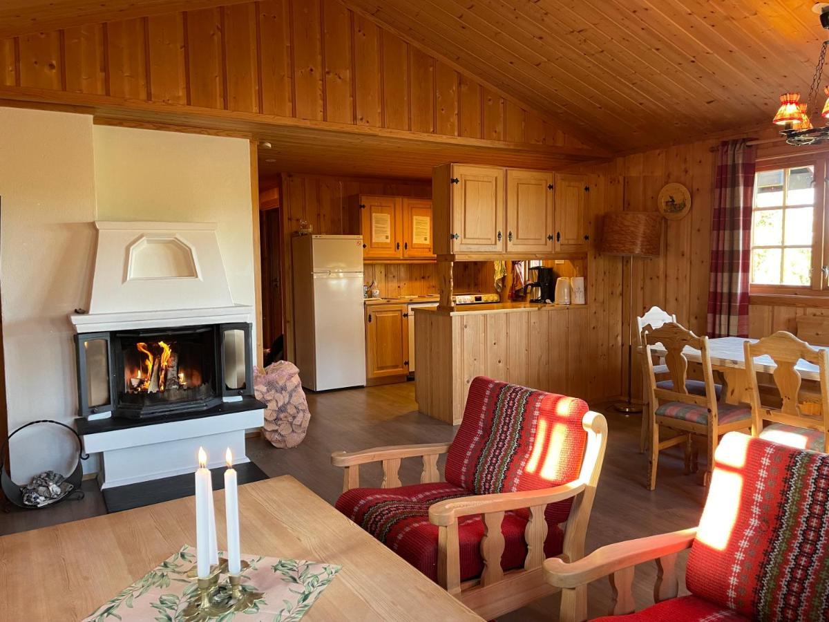 Torsetlia Cottages And Apartments Uvdal Eksteriør billede